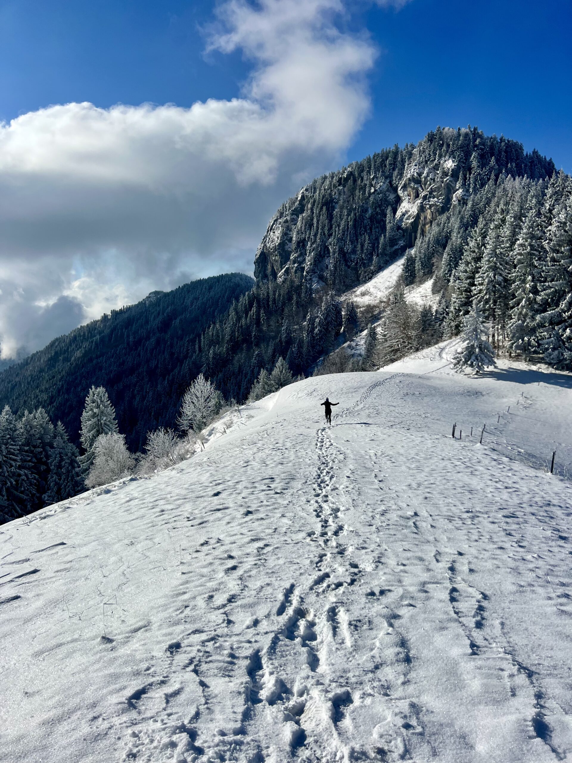 Lire la suite à propos de l’article Comment garder la motivation au fil du temps?