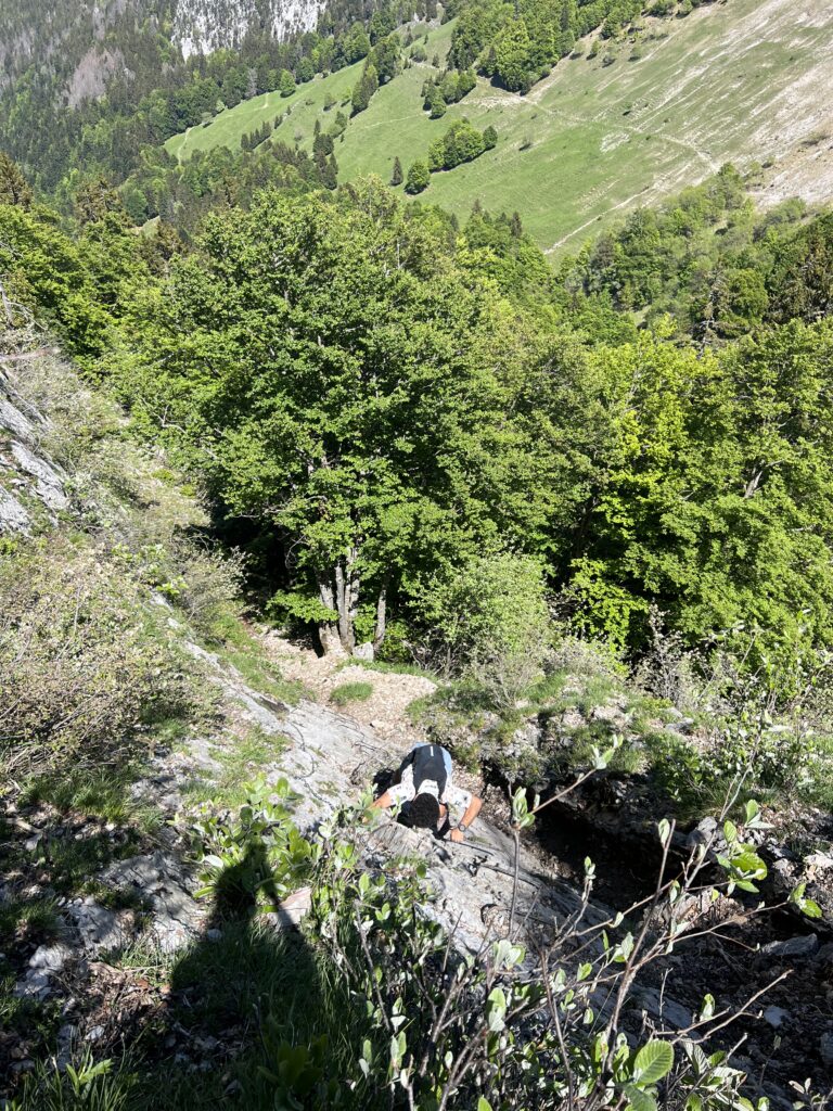 IMG_8348