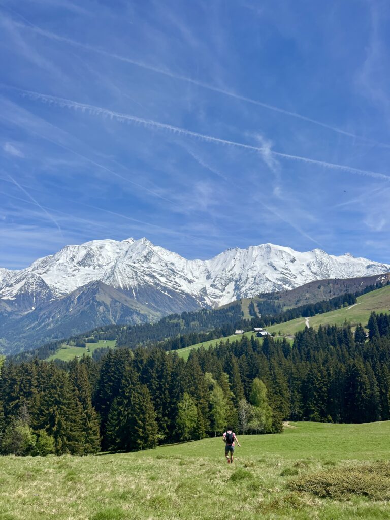 IMG_8464