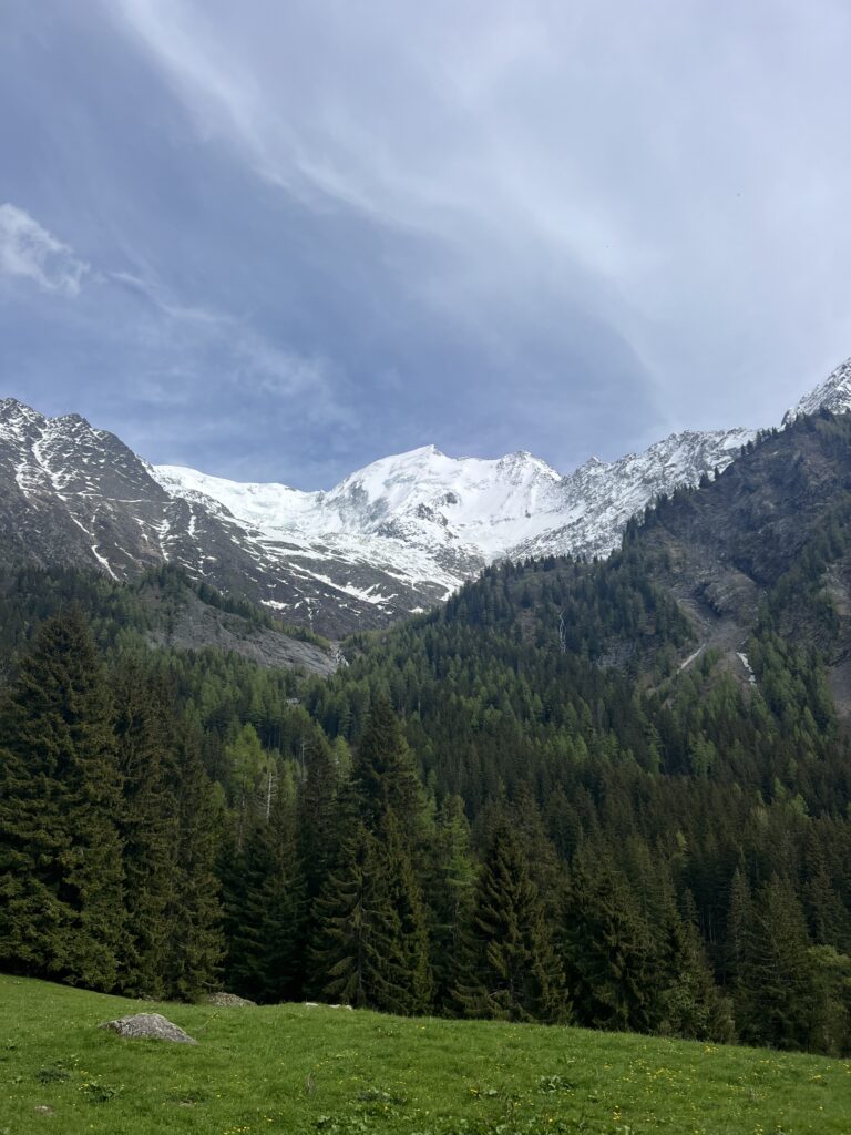 IMG_8467
